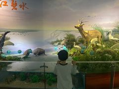 -湖南省地质博物馆