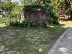 -鹅湖玫瑰文化园
