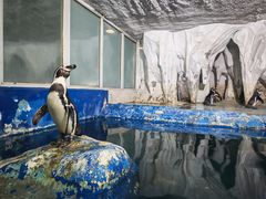 -太平洋海底世界