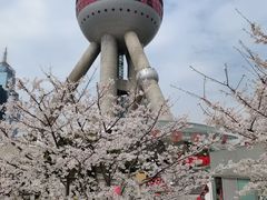 -东方明珠广播电视塔