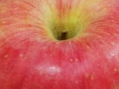 -大连熟食品交易中心