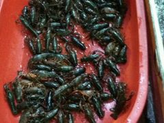 活龙虾-三好倪氏龙虾(日规路店)