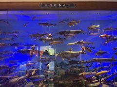 -鱼窝棚柴火铁锅炖(富山屯店)