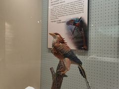 -辽宁古生物博物馆