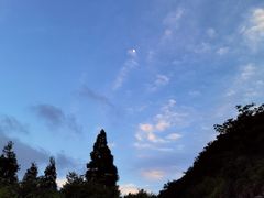 -武陵山森林公园