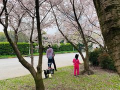 -闵行体育馆-停车场