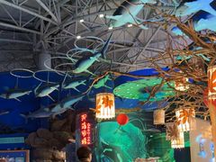 -烟台海昌鲸鲨海洋公园