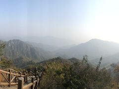 -大岭沟猕猴桃谷风景区