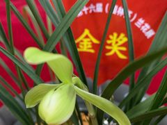 -九江美术馆
