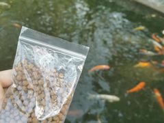-世界之窗阿尔卑斯冰雪世界