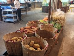 自助取餐区-大树头森林餐厅(番禺广场店)