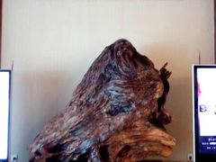 -罗浮山嘉宝田森林温泉度假酒店