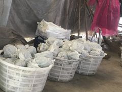 -马陆小张葡萄园农家乐