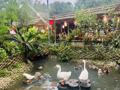 -青城甲(青城山店)