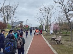 -上海长兴岛郊野公园