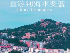 -青岛海滨风景区