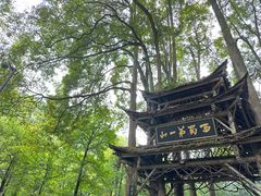 -青城山