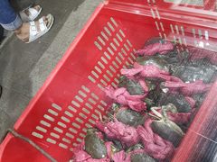-一哥美食(总店)