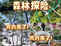 -芦仙山景区-飞越丛林探险乐园