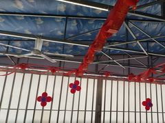 -后湖小院·乡野田园菜