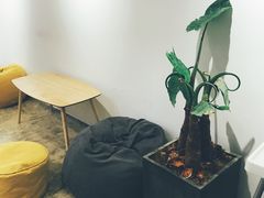-收获咖啡HARVEST RESERVE(苍山店)
