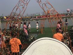 -荷兰花海