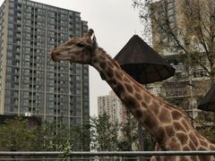 -巴鑫田姐米线(巴南万达店)