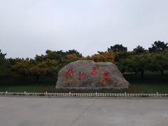 -塘沽森林公园