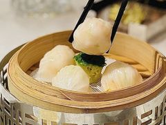 -南海渔村(珠江新城店)