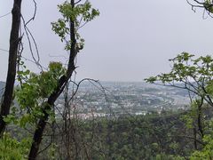 -桃花岭景区