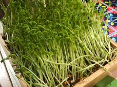 -椰夫人·养生椰子鸡(金沙洲永旺店)