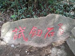 -上海佘山国家森林公园东门地面停车场
