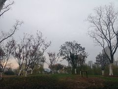 -滨湖塘西河公园