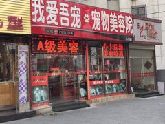 我爱吾宠宠物美容院-我爱吾宠宠物美容院(朝阳路店)