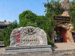 -大槐树寻根祭祖园