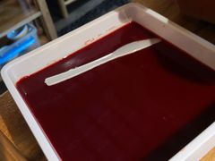 鲜鸭血-巴渝瓦肆重庆鲜火锅(宝龙环湖店)