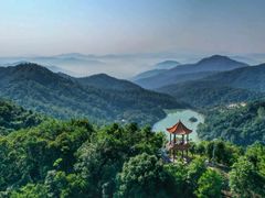 -广州白江湖森林公园