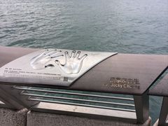 -星光大道