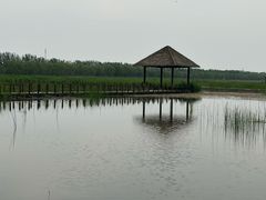 -西青郊野公园