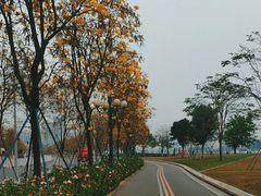 -洲头咀公园