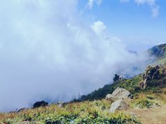 -白草畔自然风景区