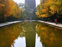 -玲珑塔公园