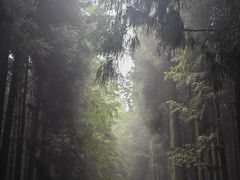 -山王坪喀斯特国家生态公园