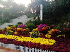 -大兴滨河森林公园