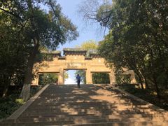 -灵谷景区