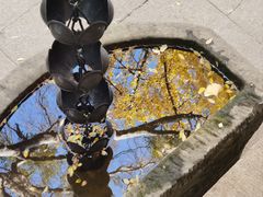 -西园戒幢律寺