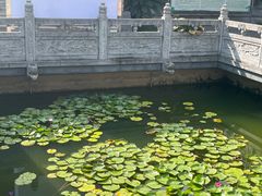 -卓刀泉寺