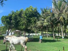 -三亚鹿回头高尔夫球会-停车场