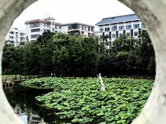 -雀儿山公园