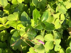 -苏州河梦清园环保主题公园